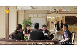 曾都企业清欠服务